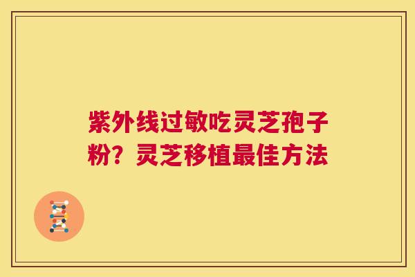 紫外线过敏吃灵芝孢子粉？灵芝移植最佳方法  第1张