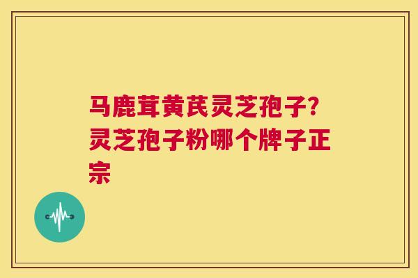 马鹿茸黄芪灵芝孢子?灵芝孢子粉哪个牌子正宗 第1张 马鹿茸黄芪灵芝孢子?灵芝孢子粉哪个牌子正宗 第1张