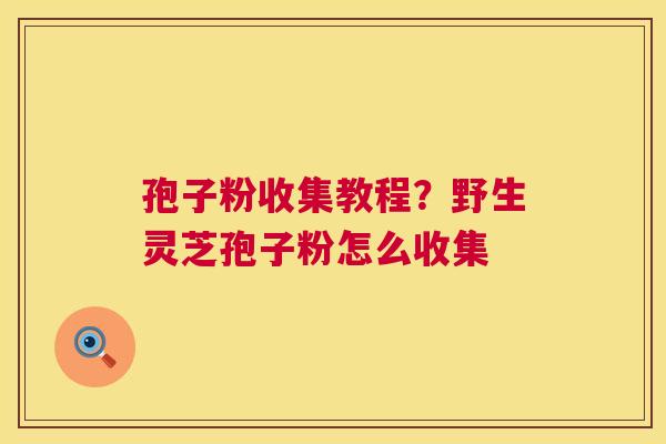 孢子粉收集教程?野生灵芝孢子粉怎么收集 第1张 孢子粉收集教程?野生灵芝孢子粉怎么收集 第1张