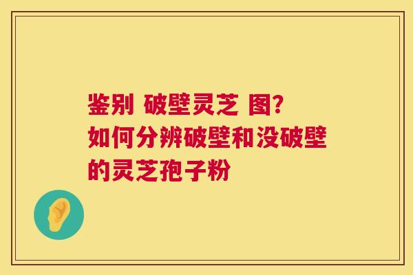 鉴别 破壁灵芝 图？如何分辨破壁和没破壁的灵芝孢子粉  第1张