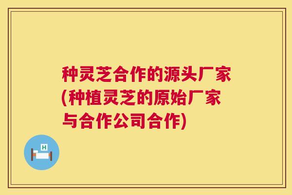 种灵芝合作的源头厂家(种植灵芝的原始厂家与合作公司合作) 第1张 种灵芝合作的源头厂家(种植灵芝的原始厂家与合作公司合作) 第1张
