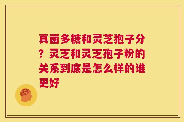 真菌多糖和灵芝狍子分?灵芝和灵芝孢子粉的关系到底是怎么样的谁更好 第1张 真菌多糖和灵芝狍子分?灵芝和灵芝孢子粉的关系到底是怎么样的谁更好 第1张