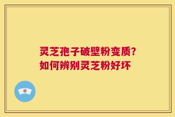 灵芝孢子破壁粉变质?如何辨别灵芝粉好坏 第1张 灵芝孢子破壁粉变质?如何辨别灵芝粉好坏 第1张