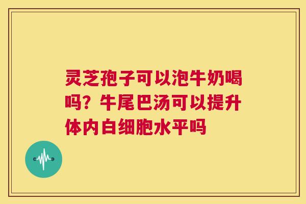 灵芝孢子可以泡牛奶喝吗？牛尾巴汤可以提升体内白细胞水平吗  第1张