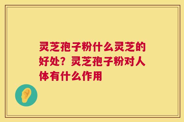 灵芝孢子粉什么灵芝的好处?灵芝孢子粉对人体有什么作用 第1张 灵芝孢子粉什么灵芝的好处?灵芝孢子粉对人体有什么作用 第1张