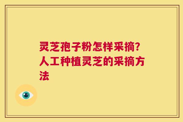灵芝孢子粉怎样采摘?人工种植灵芝的采摘方法 第1张 灵芝孢子粉怎样采摘?人工种植灵芝的采摘方法 第1张