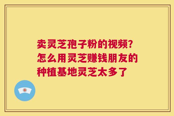 卖灵芝孢子粉的视频?怎么用灵芝赚钱朋友的种植基地灵芝太多了 第1张 卖灵芝孢子粉的视频?怎么用灵芝赚钱朋友的种植基地灵芝太多了 第1张