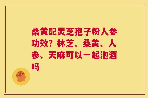 桑黄配灵芝孢子粉人参功效?林芝、桑黄、人参、天麻可以一起泡酒吗 第1张 桑黄配灵芝孢子粉人参功效?林芝、桑黄、人参、天麻可以一起泡酒吗 第1张