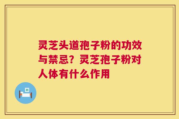 灵芝头道孢子粉的功效与禁忌？灵芝孢子粉对人体有什么作用  第1张