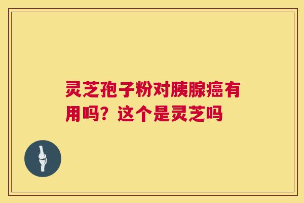灵芝孢子粉对胰腺癌有用吗?这个是灵芝吗 第1张 灵芝孢子粉对胰腺癌有用吗?这个是灵芝吗 第1张