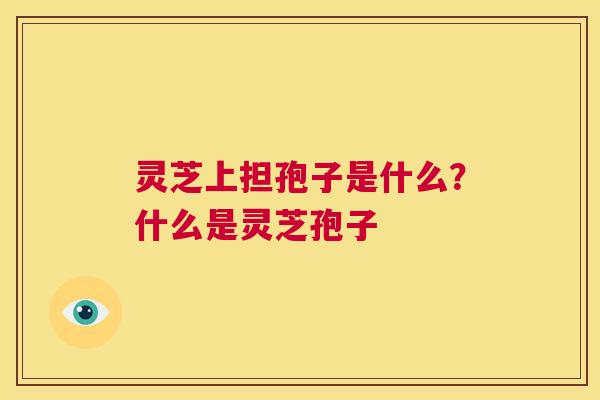 灵芝上担孢子是什么?什么是灵芝孢子 第1张 灵芝上担孢子是什么?什么是灵芝孢子 第1张