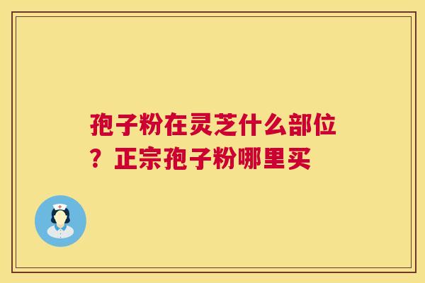 孢子粉在灵芝什么部位?正宗孢子粉哪里买 第1张 孢子粉在灵芝什么部位?正宗孢子粉哪里买 第1张
