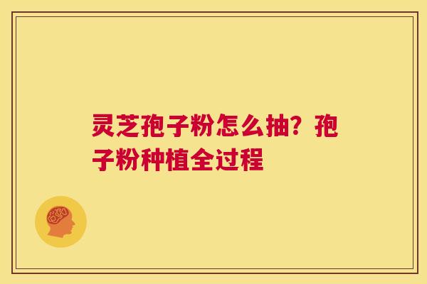 灵芝孢子粉怎么抽?孢子粉种植全过程 第1张 灵芝孢子粉怎么抽?孢子粉种植全过程 第1张