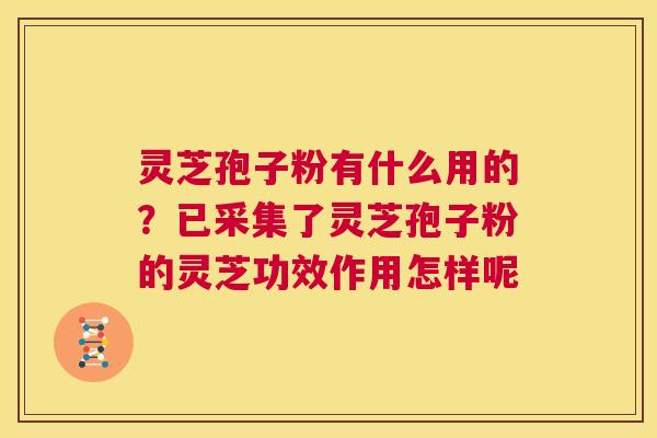 灵芝孢子粉有什么用的？已采集了灵芝孢子粉的灵芝功效作用怎样呢  第1张