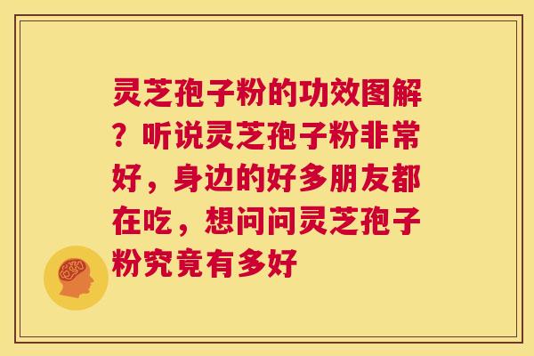 灵芝孢子粉的功效图解？听说灵芝孢子粉非常好，身边的好多朋友都在吃，想问问灵芝孢子粉究竟有多好  第1张