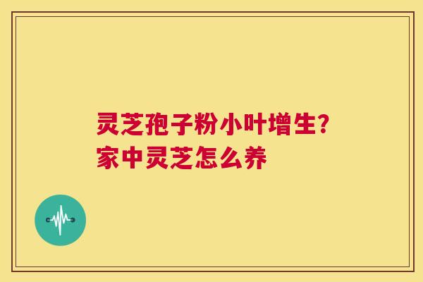 灵芝孢子粉小叶增生?家中灵芝怎么养 第1张 灵芝孢子粉小叶增生?家中灵芝怎么养 第1张