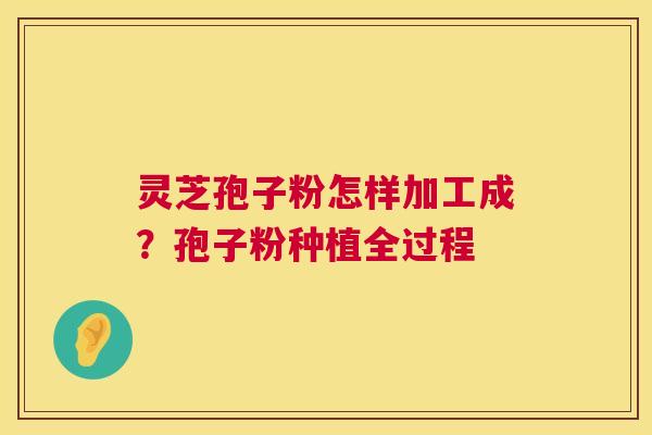 灵芝孢子粉怎样加工成?孢子粉种植全过程 第1张 灵芝孢子粉怎样加工成?孢子粉种植全过程 第1张