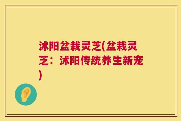 沭阳盆栽灵芝(盆栽灵芝:沭阳传统养生新宠) 第1张 沭阳盆栽灵芝(盆栽灵芝:沭阳传统养生新宠) 第1张