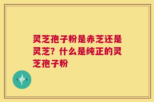 灵芝孢子粉是赤芝还是灵芝?什么是纯正的灵芝孢子粉 第1张 灵芝孢子粉是赤芝还是灵芝?什么是纯正的灵芝孢子粉 第1张