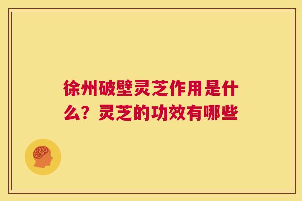 徐州破壁灵芝作用是什么?灵芝的功效有哪些 第1张 徐州破壁灵芝作用是什么?灵芝的功效有哪些 第1张