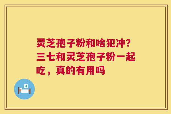 灵芝孢子粉和啥犯冲?三七和灵芝孢子粉一起吃,真的有用吗 第1张 灵芝孢子粉和啥犯冲?三七和灵芝孢子粉一起吃,真的有用吗 第1张