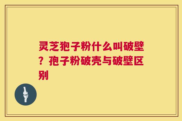 灵芝狍子粉什么叫破壁?孢子粉破壳与破壁区别 第1张 灵芝狍子粉什么叫破壁?孢子粉破壳与破壁区别 第1张
