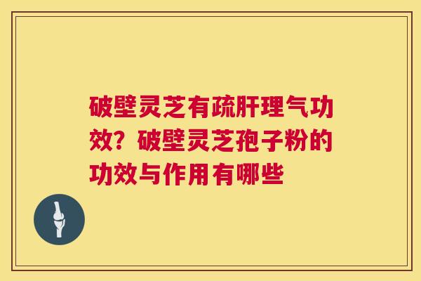 破壁灵芝有疏肝理气功效?破壁灵芝孢子粉的功效与作用有哪些 第1张 破壁灵芝有疏肝理气功效?破壁灵芝孢子粉的功效与作用有哪些 第1张