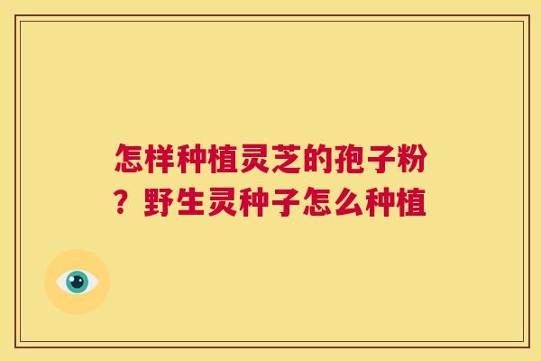 怎样种植灵芝的孢子粉？野生灵种子怎么种植  第1张