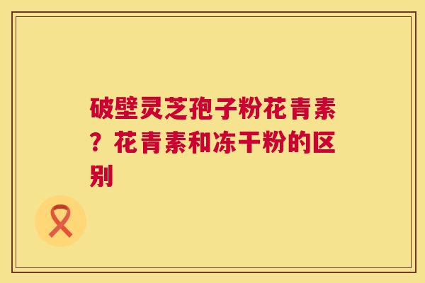 破壁灵芝孢子粉花青素?花青素和冻干粉的区别 第1张 破壁灵芝孢子粉花青素?花青素和冻干粉的区别 第1张