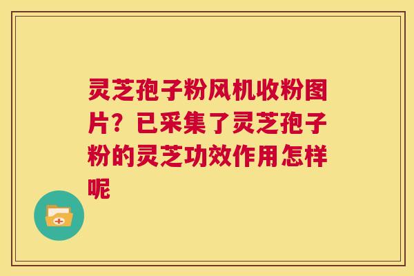 灵芝孢子粉风机收粉图片?已采集了灵芝孢子粉的灵芝功效作用怎样呢 第1张 灵芝孢子粉风机收粉图片?已采集了灵芝孢子粉的灵芝功效作用怎样呢 第1张