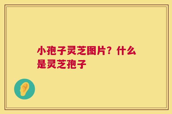 小孢子灵芝图片？什么是灵芝孢子  第1张
