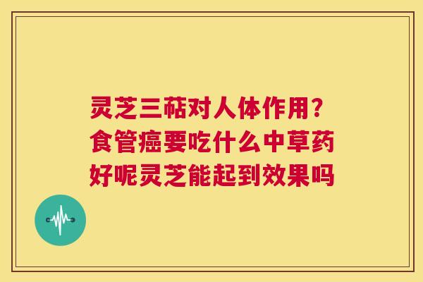 灵芝三萜对人体作用?食管癌要吃什么中草药好呢灵芝能起到效果吗 第1张 灵芝三萜对人体作用?食管癌要吃什么中草药好呢灵芝能起到效果吗 第1张