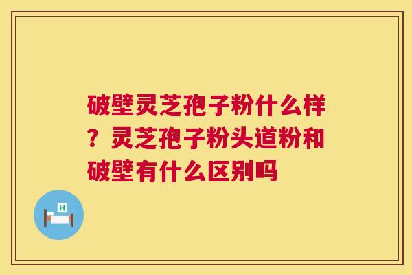 破壁灵芝孢子粉什么样？灵芝孢子粉头道粉和破壁有什么区别吗  第1张
