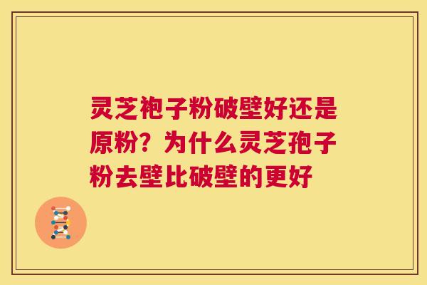 灵芝袍子粉破壁好还是原粉？为什么灵芝孢子粉去壁比破壁的更好  第1张
