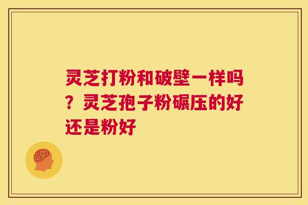 灵芝打粉和破壁一样吗?灵芝孢子粉碾压的好还是粉好 第1张 灵芝打粉和破壁一样吗?灵芝孢子粉碾压的好还是粉好 第1张