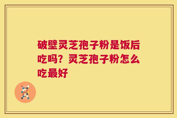 破壁灵芝孢子粉是饭后吃吗?灵芝孢子粉怎么吃最好 第1张 破壁灵芝孢子粉是饭后吃吗?灵芝孢子粉怎么吃最好 第1张