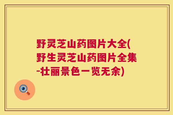 野灵芝山药图片大全(野生灵芝山药图片全集-壮丽景色一览无余) 第1张 野灵芝山药图片大全(野生灵芝山药图片全集-壮丽景色一览无余) 第1张