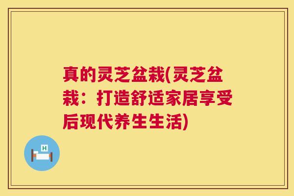 真的灵芝盆栽(灵芝盆栽:打造舒适家居享受后现代养生生活) 第1张 真的灵芝盆栽(灵芝盆栽:打造舒适家居享受后现代养生生活) 第1张