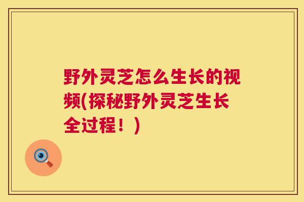 野外灵芝怎么生长的视频(探秘野外灵芝生长全过程！)  第1张