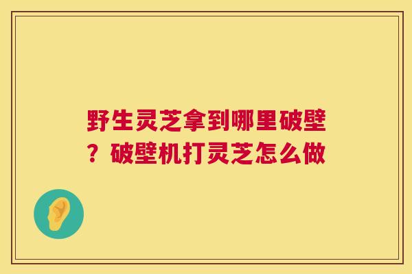 野生灵芝拿到哪里破壁?破壁机打灵芝怎么做 第1张 野生灵芝拿到哪里破壁?破壁机打灵芝怎么做 第1张