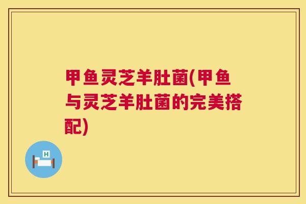 甲鱼灵芝羊肚菌(甲鱼与灵芝羊肚菌的完美搭配) 第1张 甲鱼灵芝羊肚菌(甲鱼与灵芝羊肚菌的完美搭配) 第1张