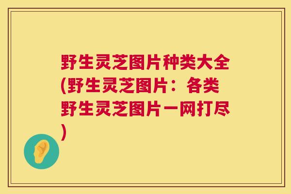 野生灵芝图片种类大全(野生灵芝图片:各类野生灵芝图片一网打尽) 第1张 野生灵芝图片种类大全(野生灵芝图片:各类野生灵芝图片一网打尽) 第1张