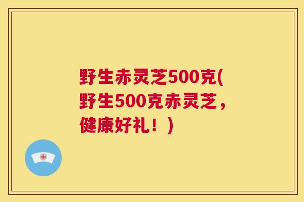 野生赤灵芝500克(野生500克赤灵芝，健康好礼！)  第1张