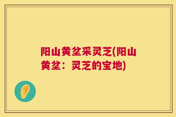 阳山黄坌采灵芝(阳山黄坌：灵芝的宝地)  第1张