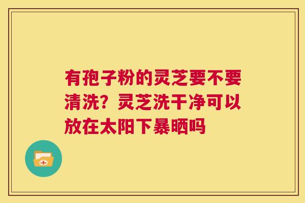 有孢子粉的灵芝要不要清洗？灵芝洗干净可以放在太阳下暴晒吗  第1张