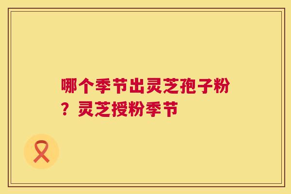 哪个季节出灵芝孢子粉？灵芝授粉季节  第1张