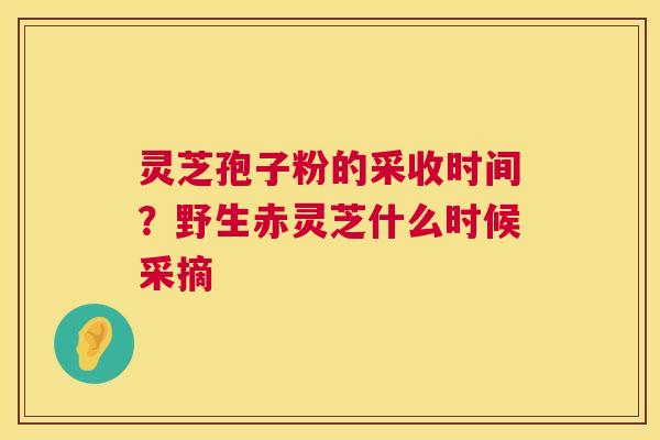 灵芝孢子粉的采收时间？野生赤灵芝什么时候采摘  第1张