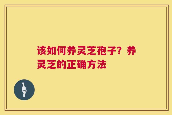 该如何养灵芝孢子？养灵芝的正确方法  第1张