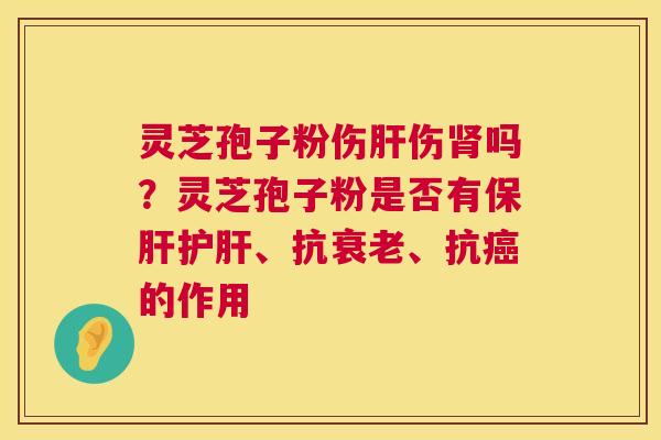 灵芝孢子粉伤肝伤肾吗?灵芝孢子粉是否有保肝护肝、抗衰老、抗癌的作用 第1张 灵芝孢子粉伤肝伤肾吗?灵芝孢子粉是否有保肝护肝、抗衰老、抗癌的作用 第1张