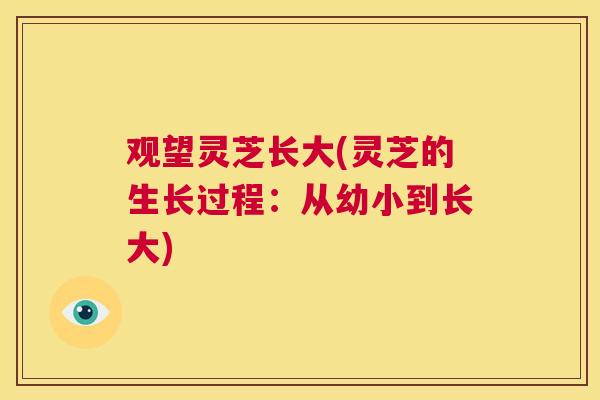 观望灵芝长大(灵芝的生长过程:从幼小到长大) 第1张 观望灵芝长大(灵芝的生长过程:从幼小到长大) 第1张